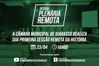 Sessão Plenária Remota